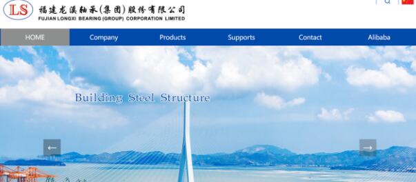 Fujian Longxi Bearing Group Corporation Limited